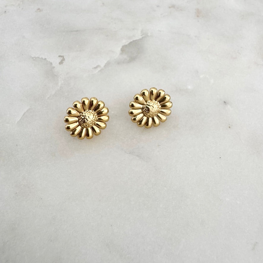 Boucles d'oreilles Ameline