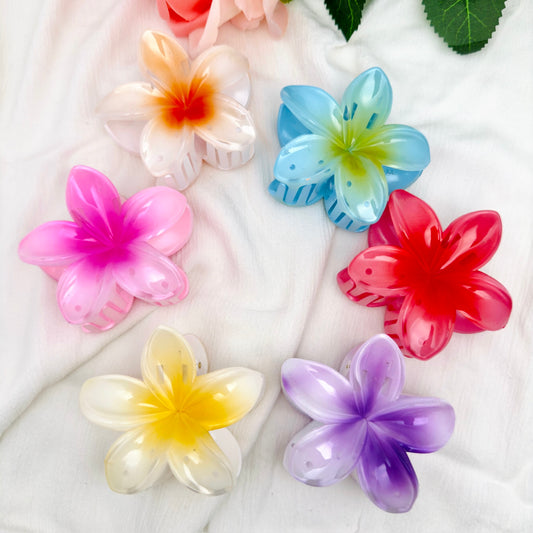 Pince à cheveux Fleur couleurs