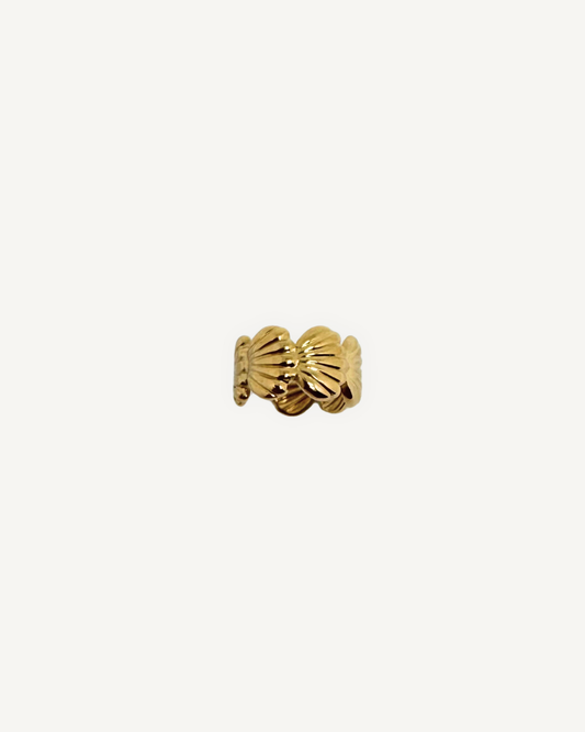 Bague d'oreille Coquillage