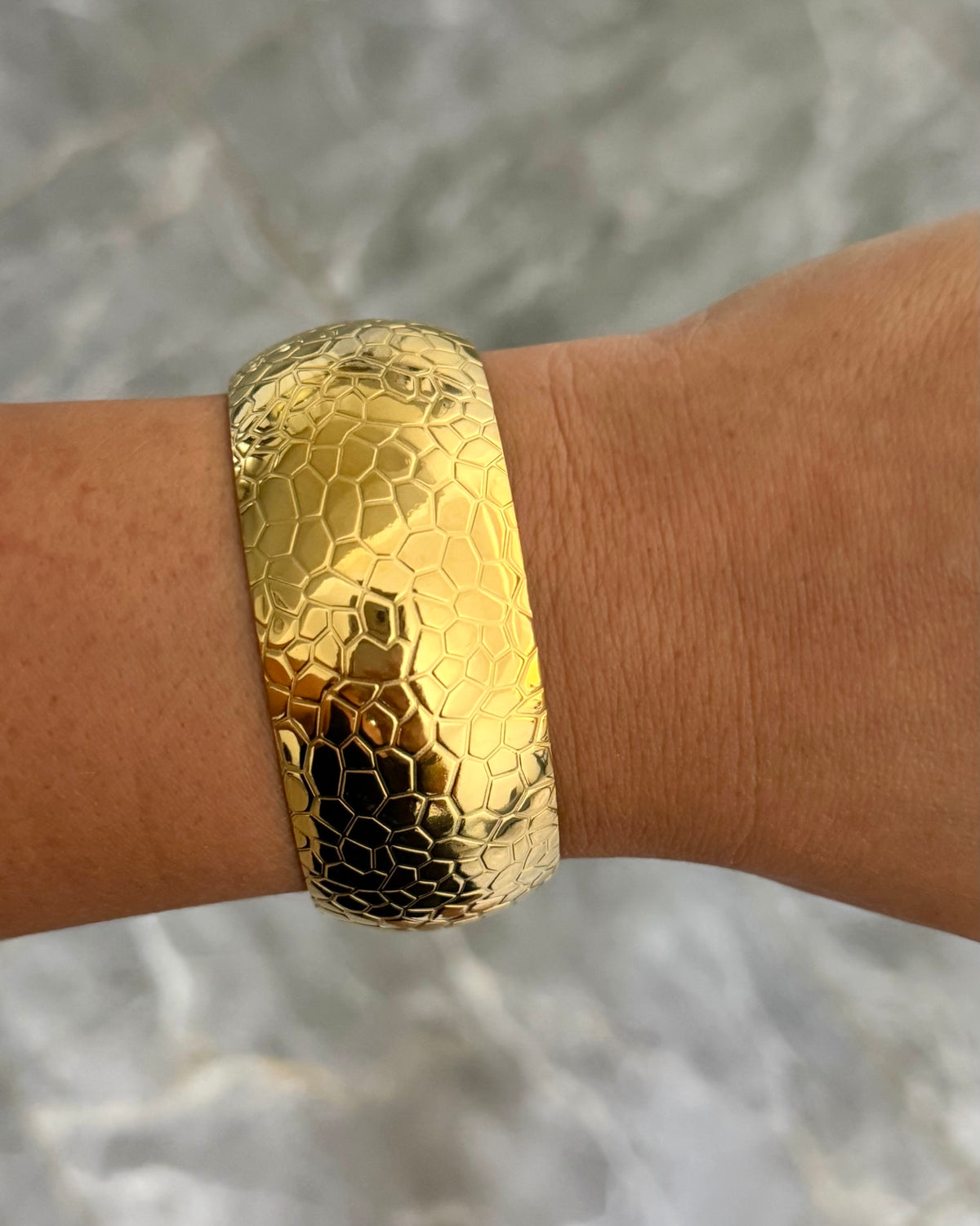 Bracelet Jonc Mamba